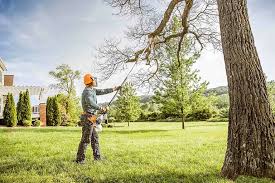 Best Tree Preservation Services  in Sidney, MT